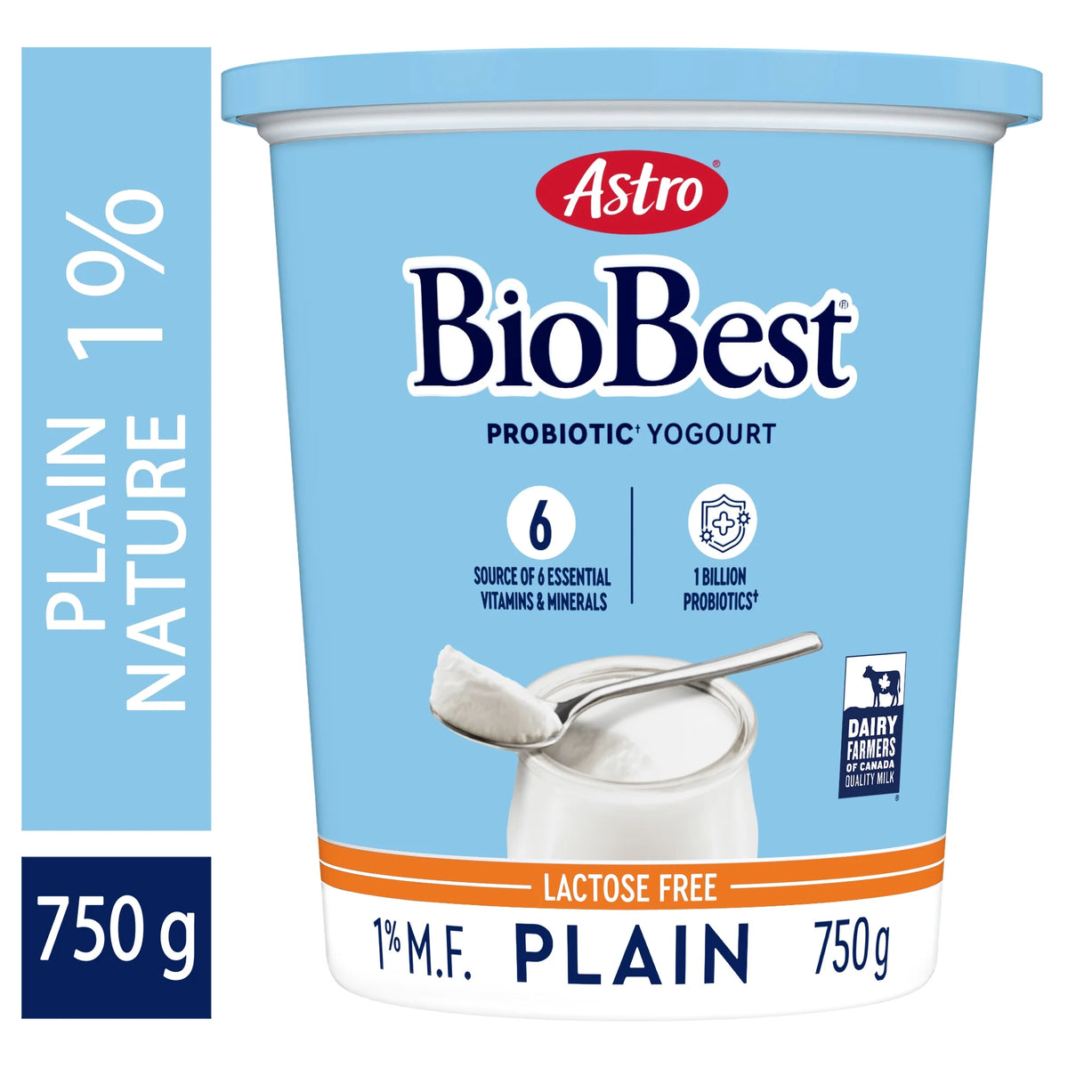 Astro BioBest Lactose Free Probiotic Plain Yogurt, 750 g