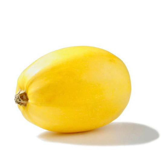 Squash, Spaghetti, Sold in singles, 1.13–1.83 kg