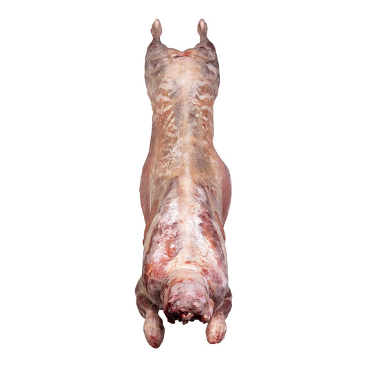 Whole Frozen Goat Carcass, 10–12 kg (11 kg average weight)