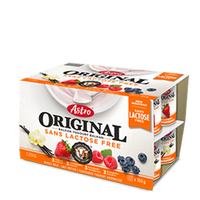 Astro LACTOSE FREE Yogurt 12x100G