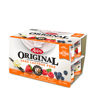 Astro LACTOSE FREE Yogurt 12x100G