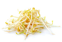 Bean Sprouts 454g