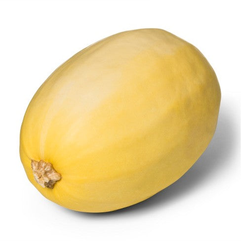 Squash, Spaghetti, Sold in singles, 1.13 - 1.83 KG
