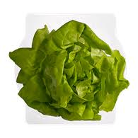 Lettuce Boston Dome 350 G