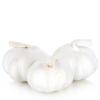 Garlic Tubes 3pk