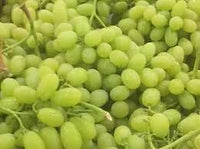 Full Case Green Seedless Grapes- 8.5kg