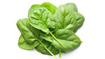 Bagged Spinach 227g