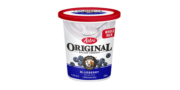 Astro Balkan Fat Free Yogurt, Blueberry Hill 650g